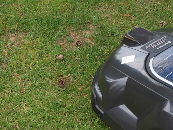 A tobozokat és gallyakat mi kell összeszedjük