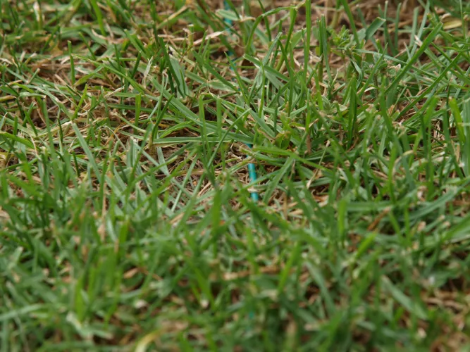 Husqvarna Automower Solar Hybrid határoló kábel