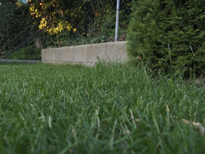 A szegélyeket még nem nyírja az Automower