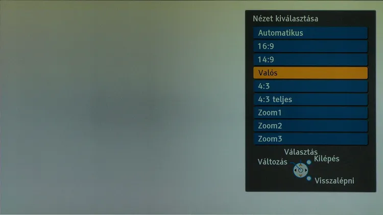 Panasonic TX-P42V10E